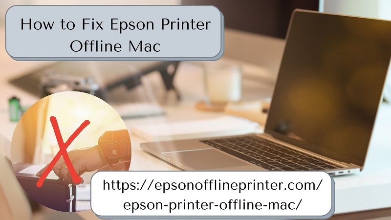 Solved Epson Printer Offline Mac Issue