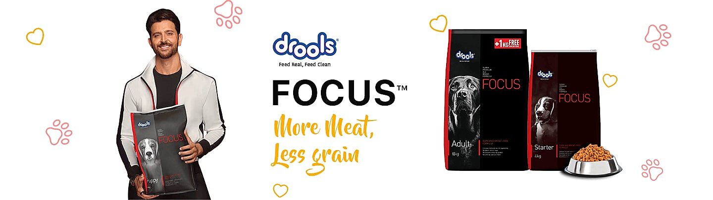 Pet Store | Pet Accessories Store | Pawrulz