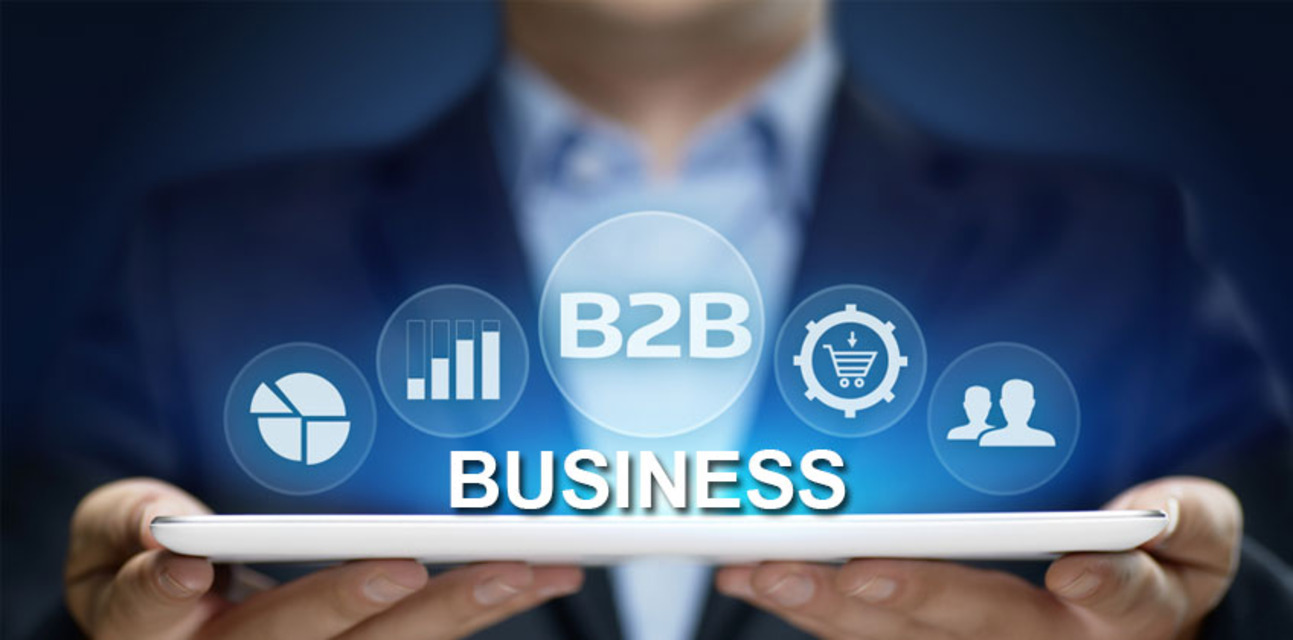 B2B Business Portal
