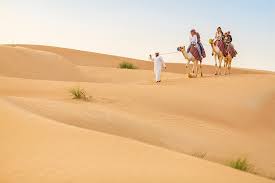 About Dubai tour and UAE investment