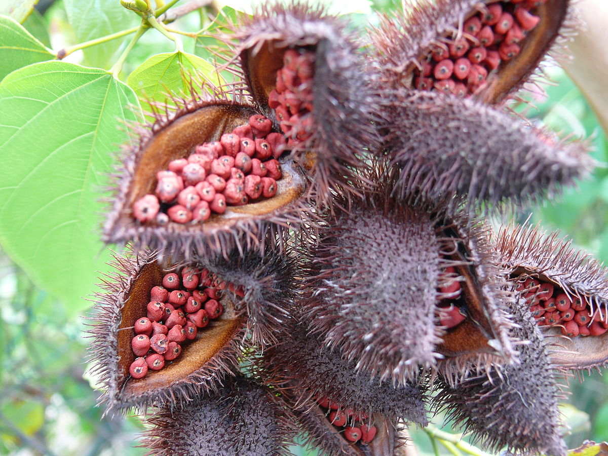 Annatto Market Drivers, Restraints and Challenges Analysis Report 2021-2027