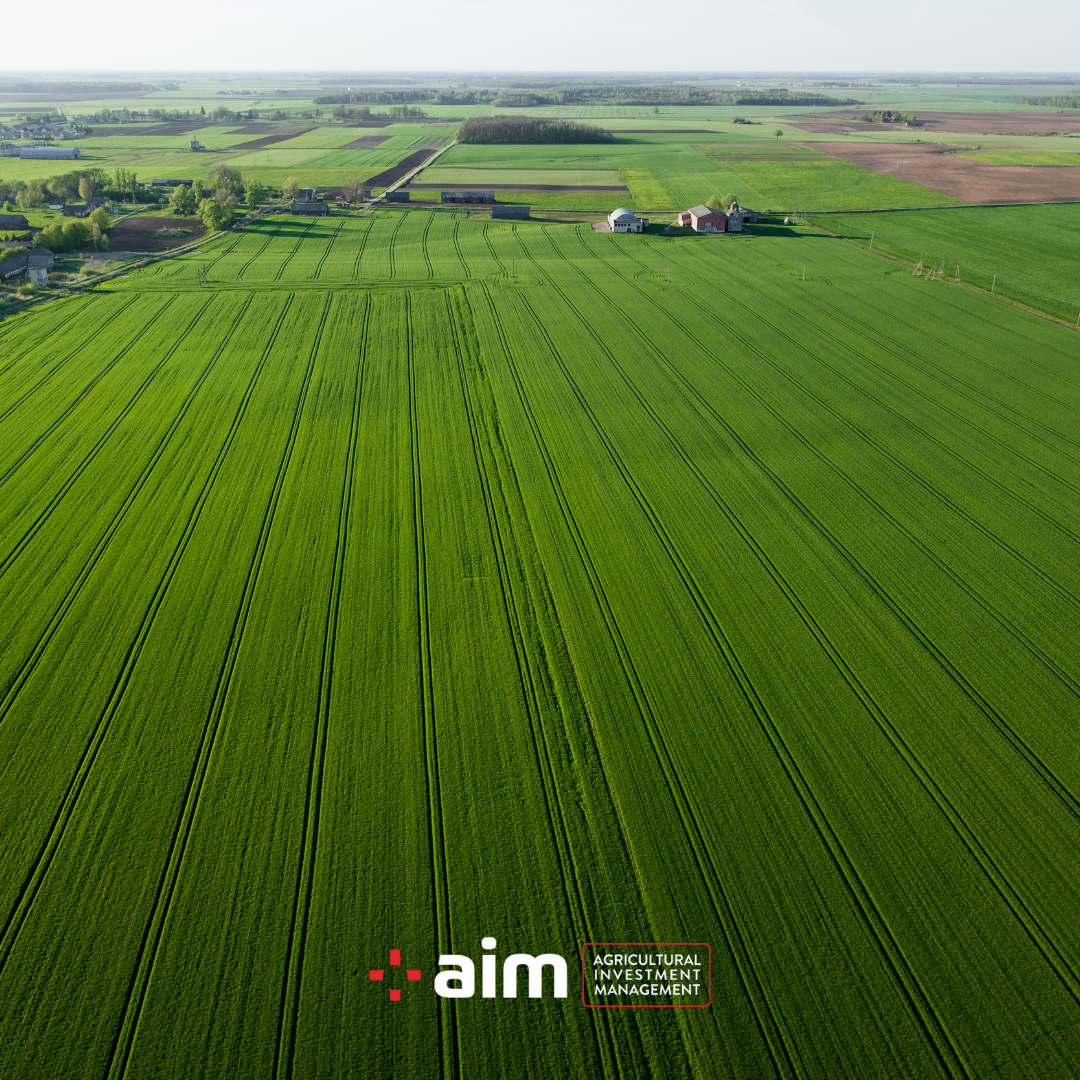 How does an experienced Agricultural team help with Agricultural production in Turkey? 