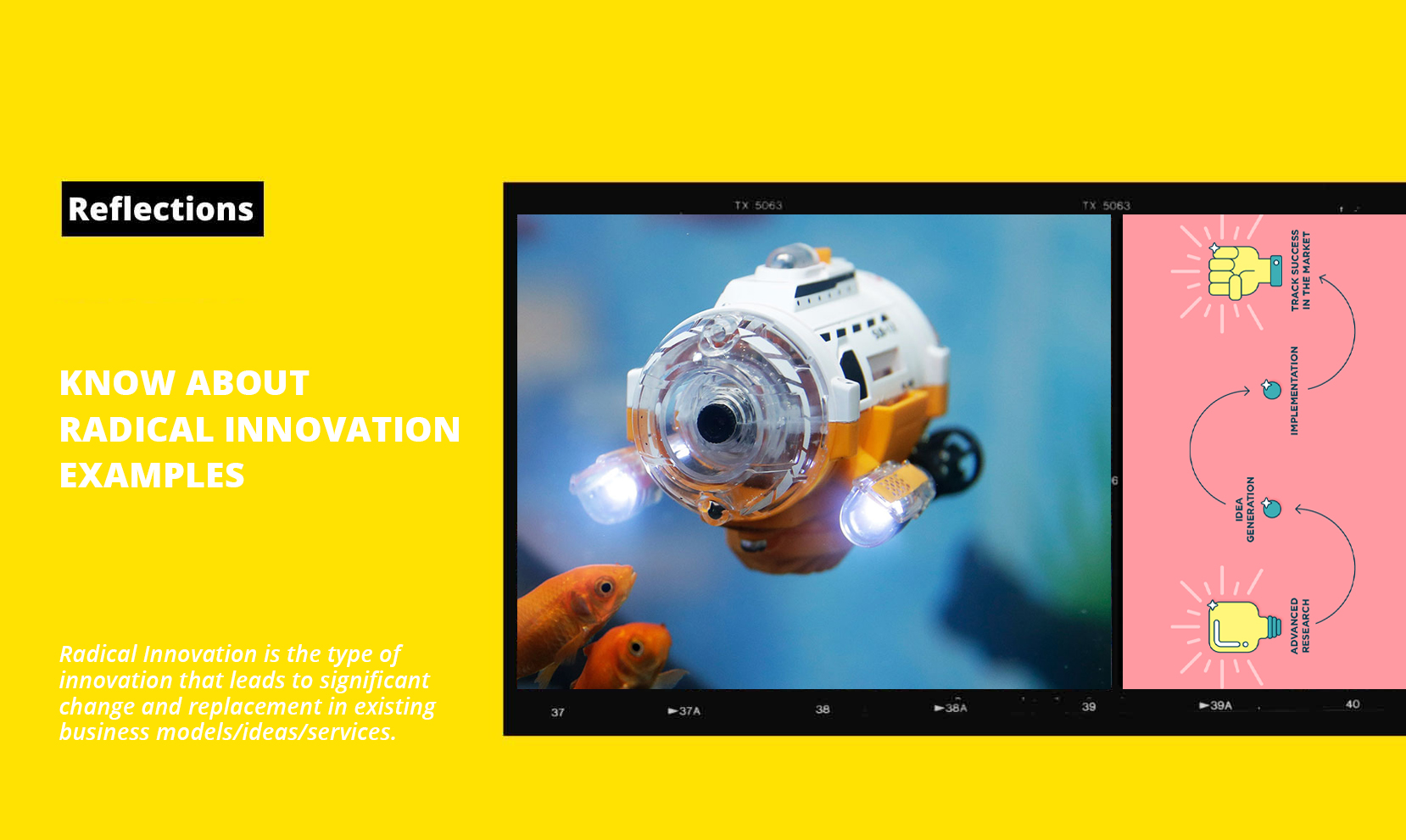 Revolutionizing Business Landscapes: Embracing Radical Innovation