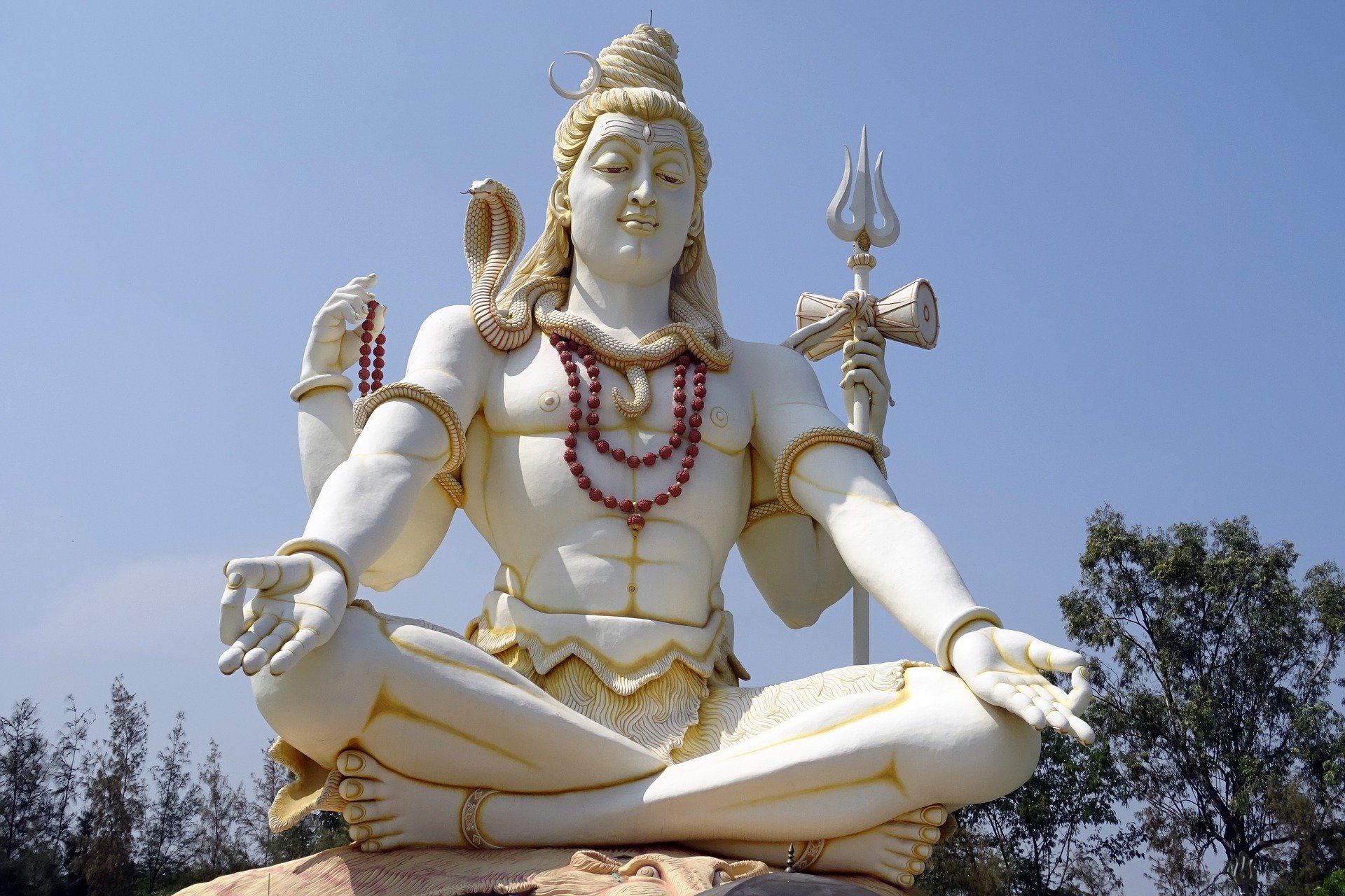  REVERSE BLACK MAGIC +91 8769179991 Famous Indian Astrologer