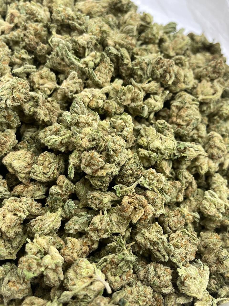 Whether Medical Cannabis Should Be Accepted Widely