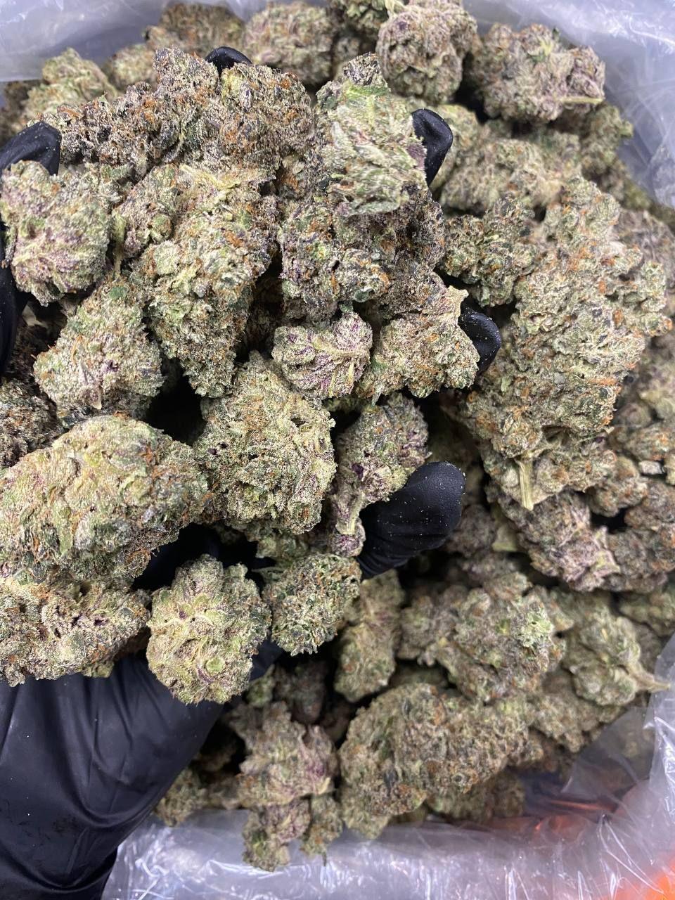 What Is Marijuana?