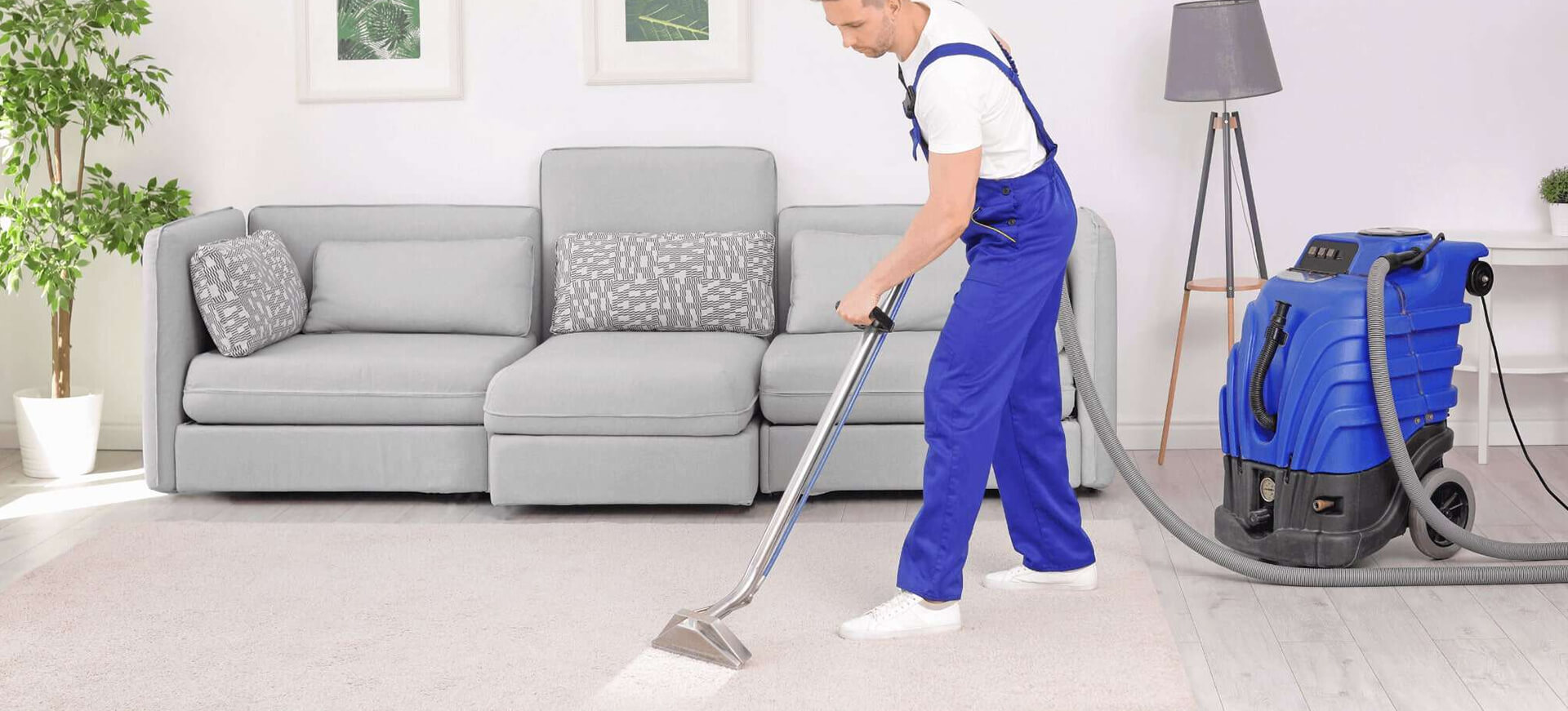Best Carpet Cleaning Services by A Action Steamer
