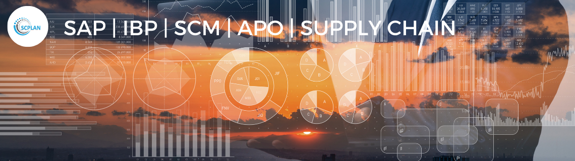 Do You Need Technical Support from SAP APO Consultant in Germany