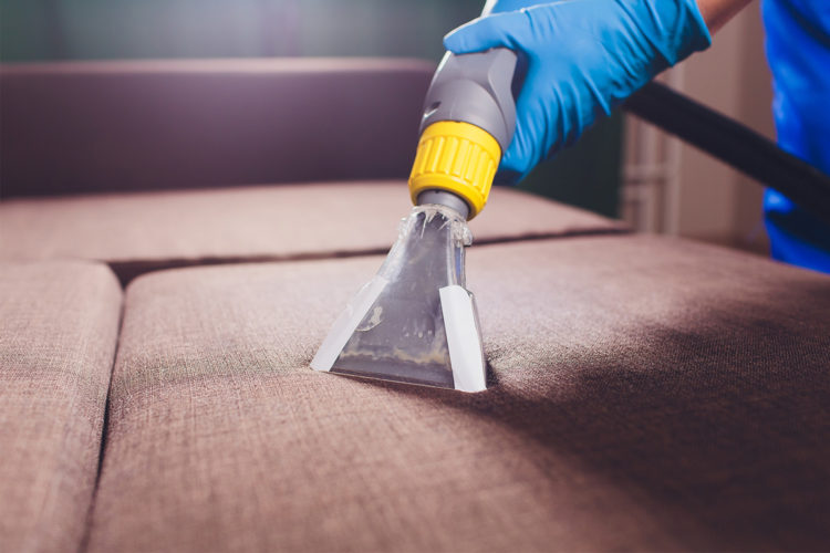5 Tips To Prepare For Professional Upholstery Cleaners
