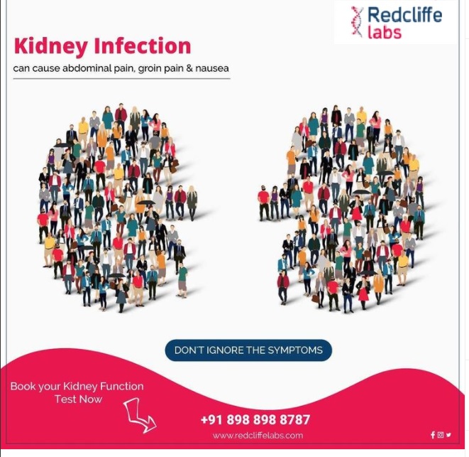  7 Common habits that can harm kidneys