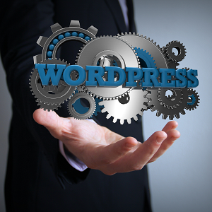 Woocommerce Development Services: What Are the Benefits? 
