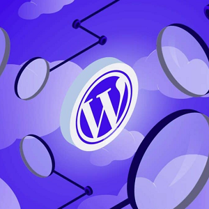 Transitioning Your Website to WordPress: A Beginner's Guide 