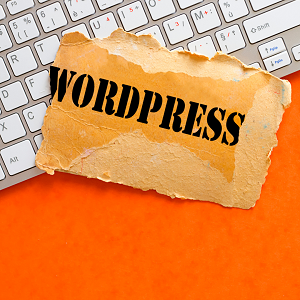 API Magic: Transform Your Website through Expert WordPress Integrations 