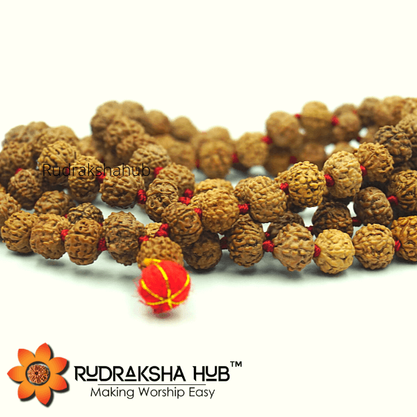7 Mukhi Rudraksha Mala