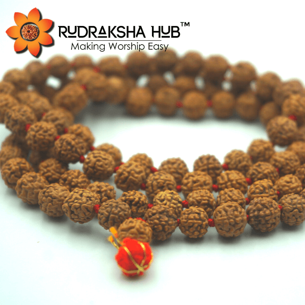 6 Mukhi Rudraksha Mala