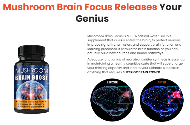 Mushroom Brain Boost Reviews - Improves Cognitive Power And Mental Health!