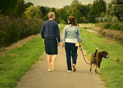 Treat Your Dogs as you are Away this Holiday Season with a Local Dog Boarding Service