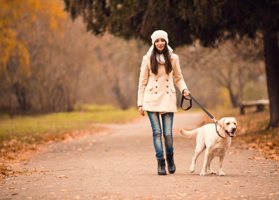 How to Fit Dog Walking in your Busy Schedules
