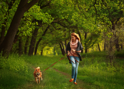 5 Best Tips to Follow Uber for Dog Walking on Winter