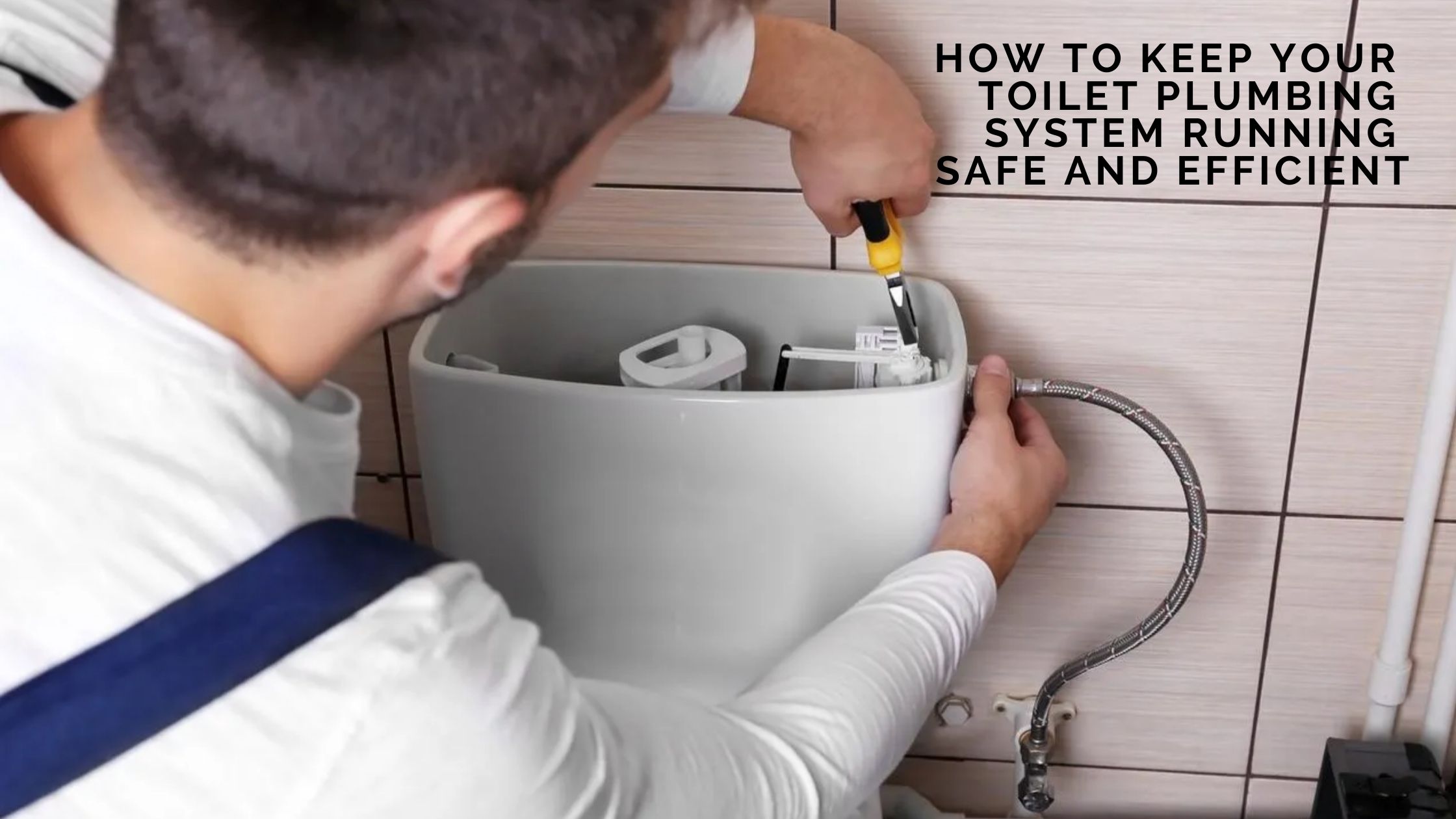 How to Keep Your Toilet Plumbing System Running Safe and Efficient