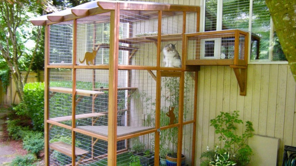 Modern Arrangements for Pets to Have Safer and Pleasant Outdoor Experiences
