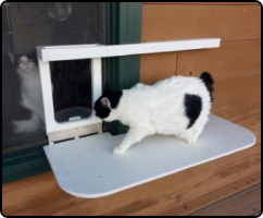 Top reasons why you should consider buying a cat window cage