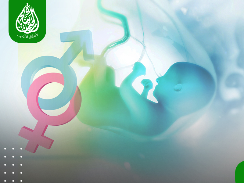 علاج نقص مخزون البويضات