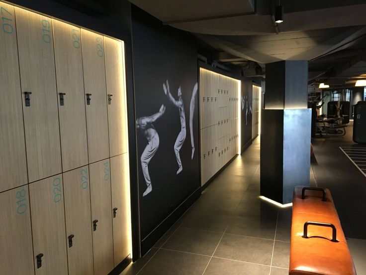 Why Do Schools and Offices Trust Metal Lockers?
