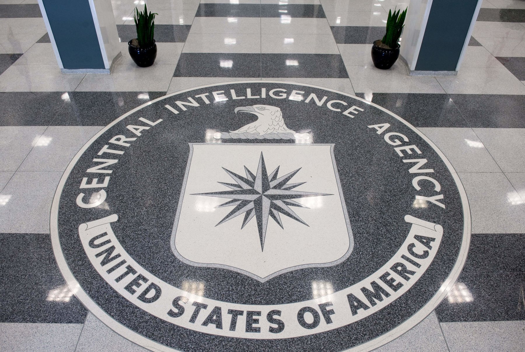 CIA launches task force on WikiLeaks