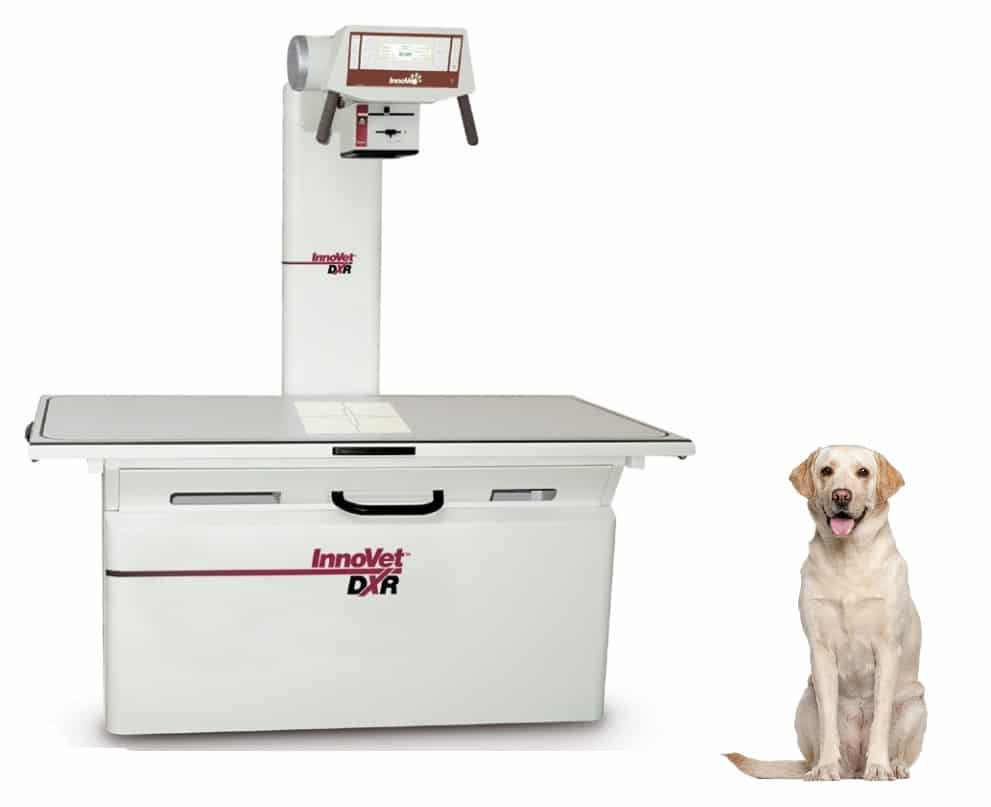 Veterinary Imaging Equipment Market Growth Analysis through 2031