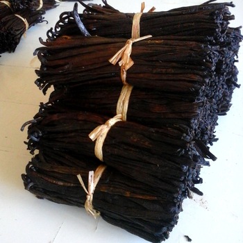 Buy Bulk Vanilla Beans Wholesale Online