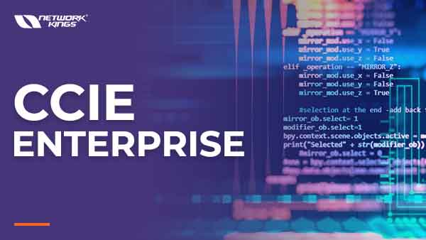 CCIE Enterprise Course with Certification