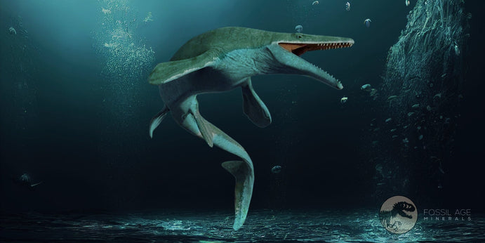Decoding the Mysteries of Basilosaurus: What Fossil Evidence Reveals