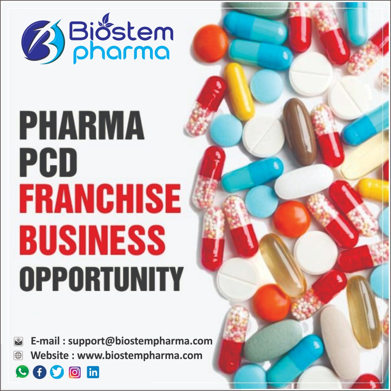 why-is-pcd-pharma-considered-one-of-the-best-busniess-options