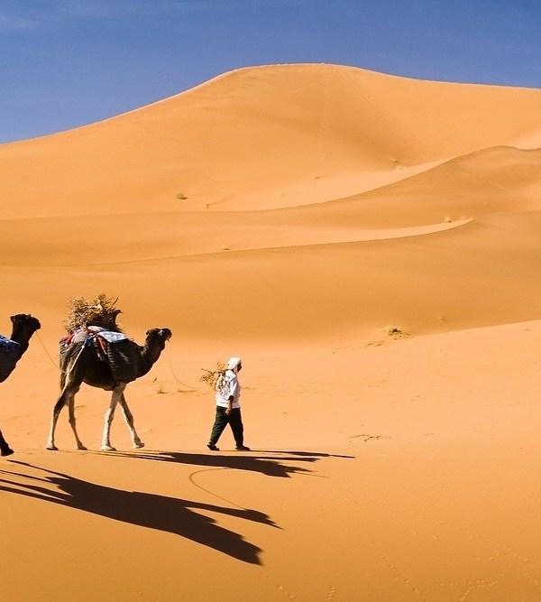 Best Morrocco Desert Tour