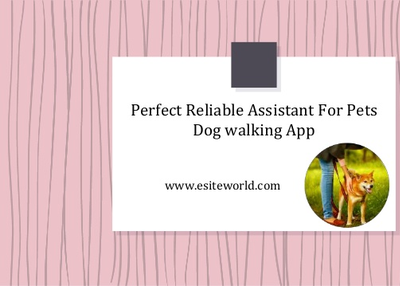 Dog walking App: Perfect Reliable Assistant for Pets