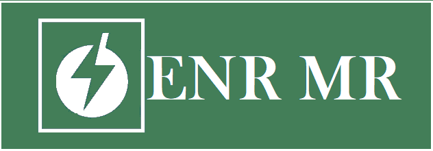 Global and China Smart Power Grid Energy Saving Solution Market Size, Status and Forecast 2021-2027