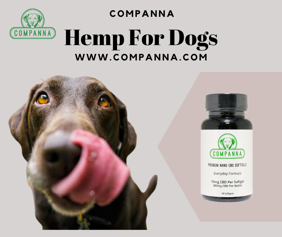 Natural & Organic Hemp For Dogs