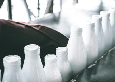 Enjoy the healthy milk delivery service with milk delivery app