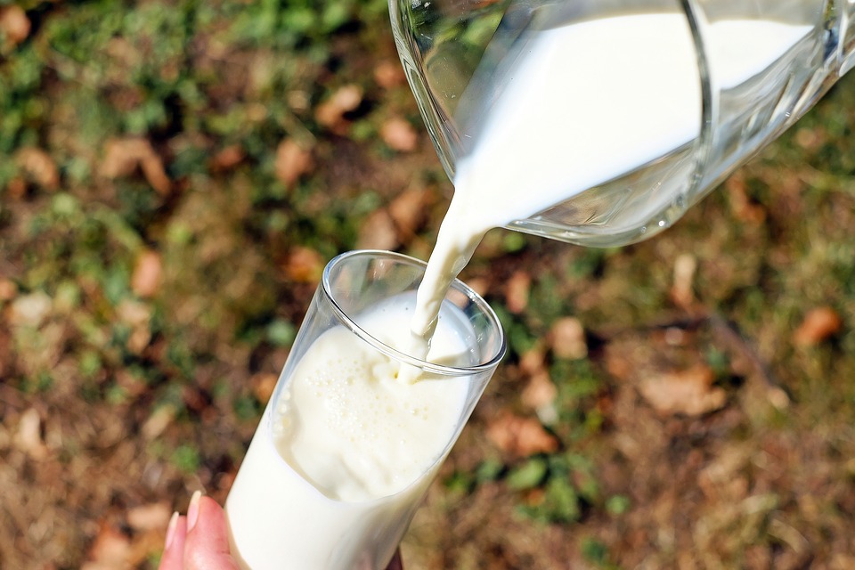 Companion for Quick Milk Delivery with Milk Delivery App
