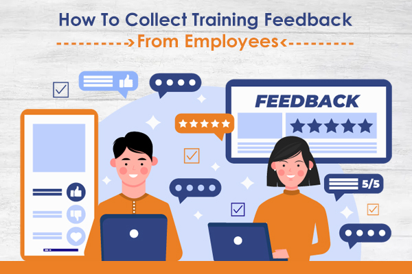 How To Collect Training Feedback From Employees