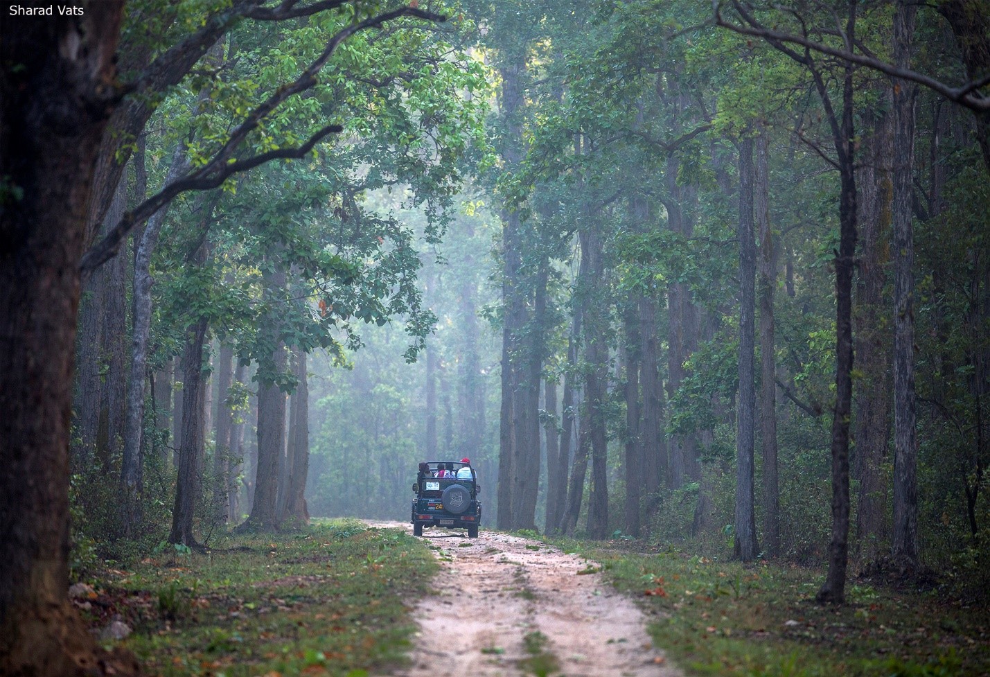 How to choose a Tour Operator in India?