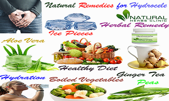 Herbal Treatment and Recovery for Hydrocele