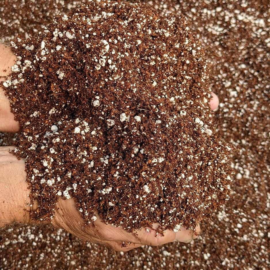 growing in coco
