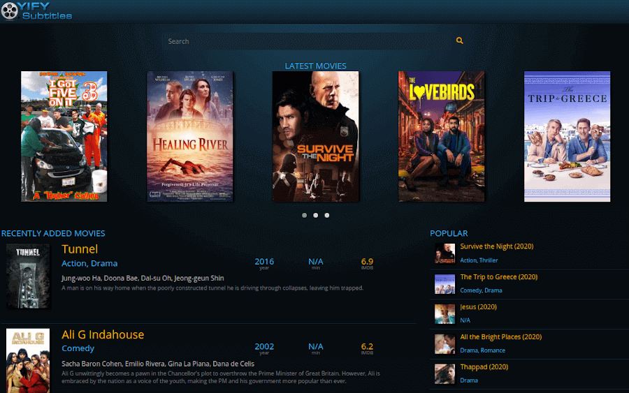 Why Adding Subtitles Boosts Your Digital Video Strategy