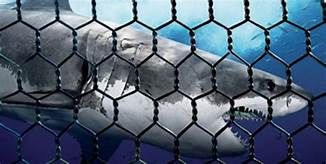 Website Hackers For Hire