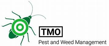 Ant treatment Perth