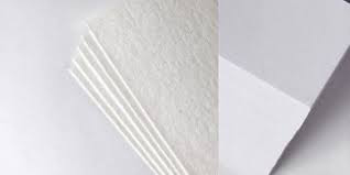 Bleached Eucalyptus Kraft Pulp Market Share, Trends, Product Estimates & Strategy Framework To, 2022-2028