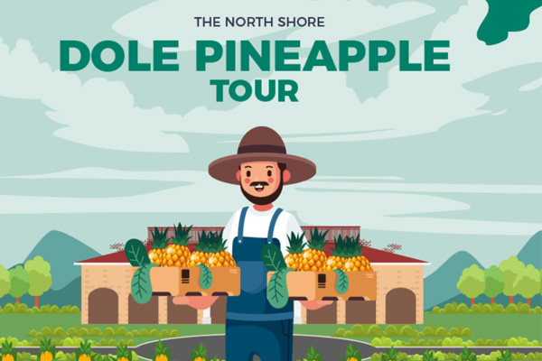The North Shore Dole Pineapple Tour