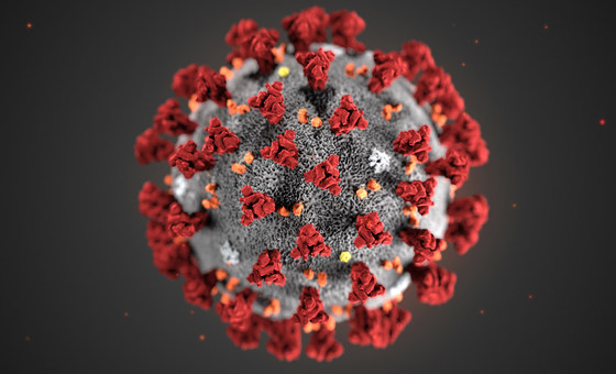 Protect Yourself against corona virus